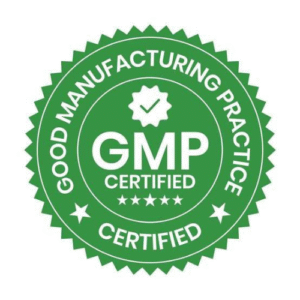 The Importance of GMP Compliance in Pharmaceutical Manufacturing